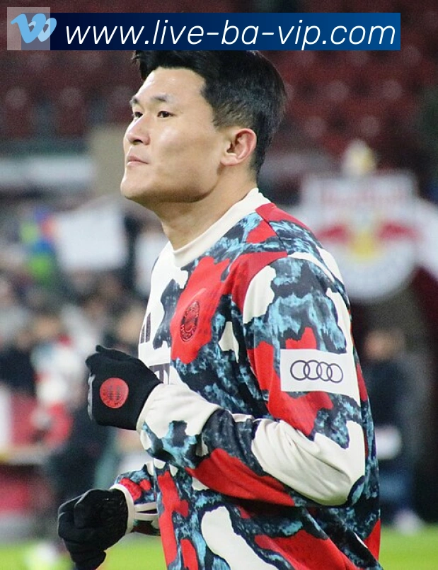 维尼修斯